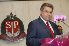 Prêmio ANNA NERY 2024 aos Profissionias de Enfermagem - São Paulo - SP.