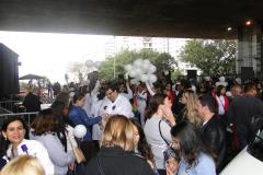 DSC02393-1