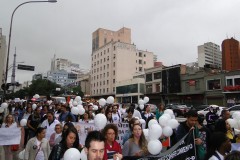 DSC02566-1