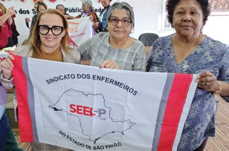 SEESP participa do encontro do Comitê de Mulheres da ISP Brasil em defesa da ratificação da Convenção 190 da OIT e da Política Nacional de Cuidados