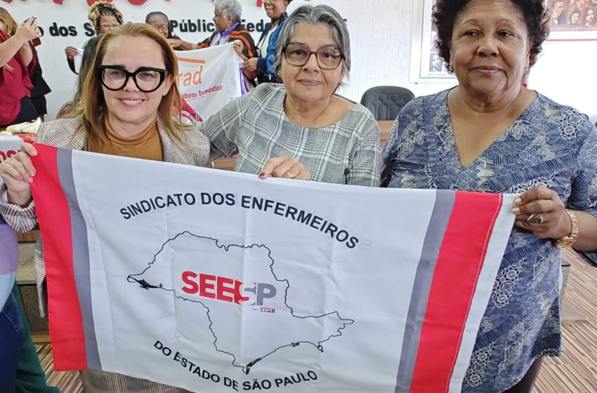 SEESP participa do encontro do Comitê de Mulheres da ISP Brasil em defesa da ratificação da Convenção 190 da OIT e da Política Nacional de Cuidados